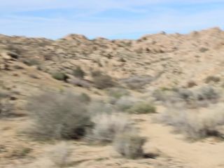 Emma Choice - Desert Nymph Seduction Sloppy POV BJ